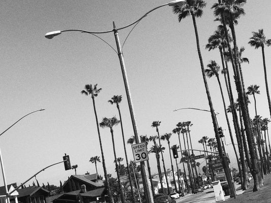 Ocean Blvd.